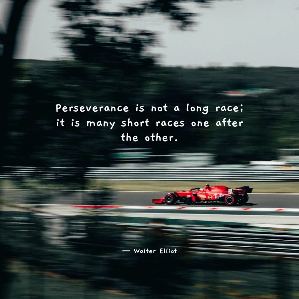 Perseverance is not a long race it is many short races one after the other