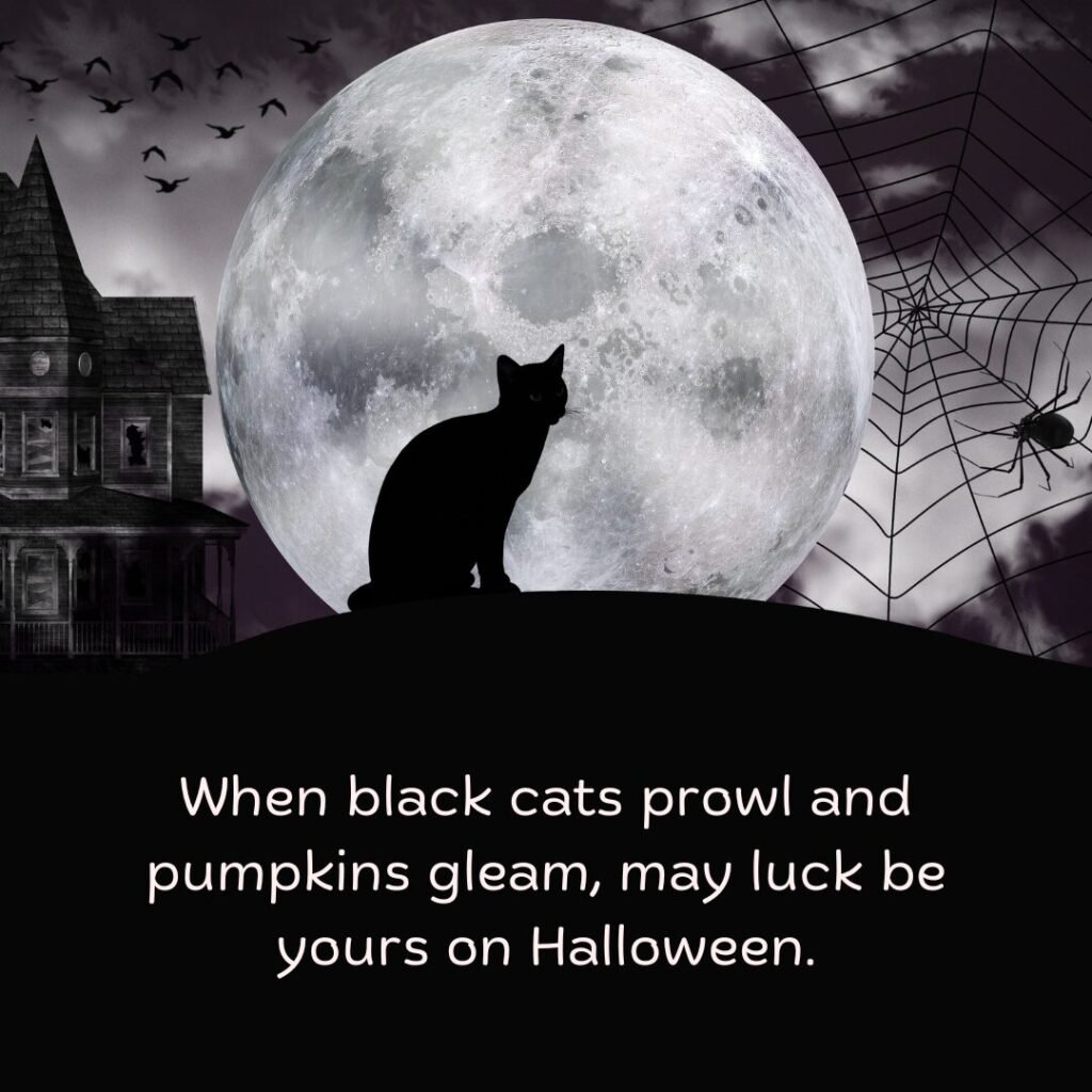 When black cats prowl and pumpkins gleam, may luck be yours on Halloween.