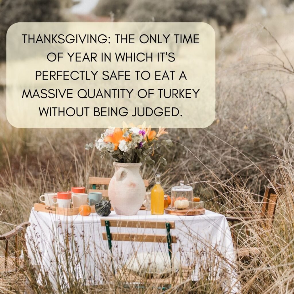 Thanksgiving The only time of year in which it's perfectly safe to eat a massive quantity of turkey without being judged.