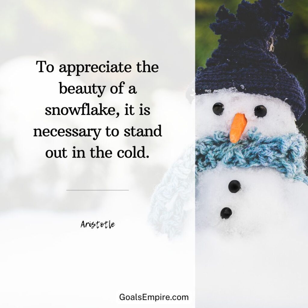 "To appreciate the beauty of a snowflake, it is necessary to stand out in the cold." – Aristotle