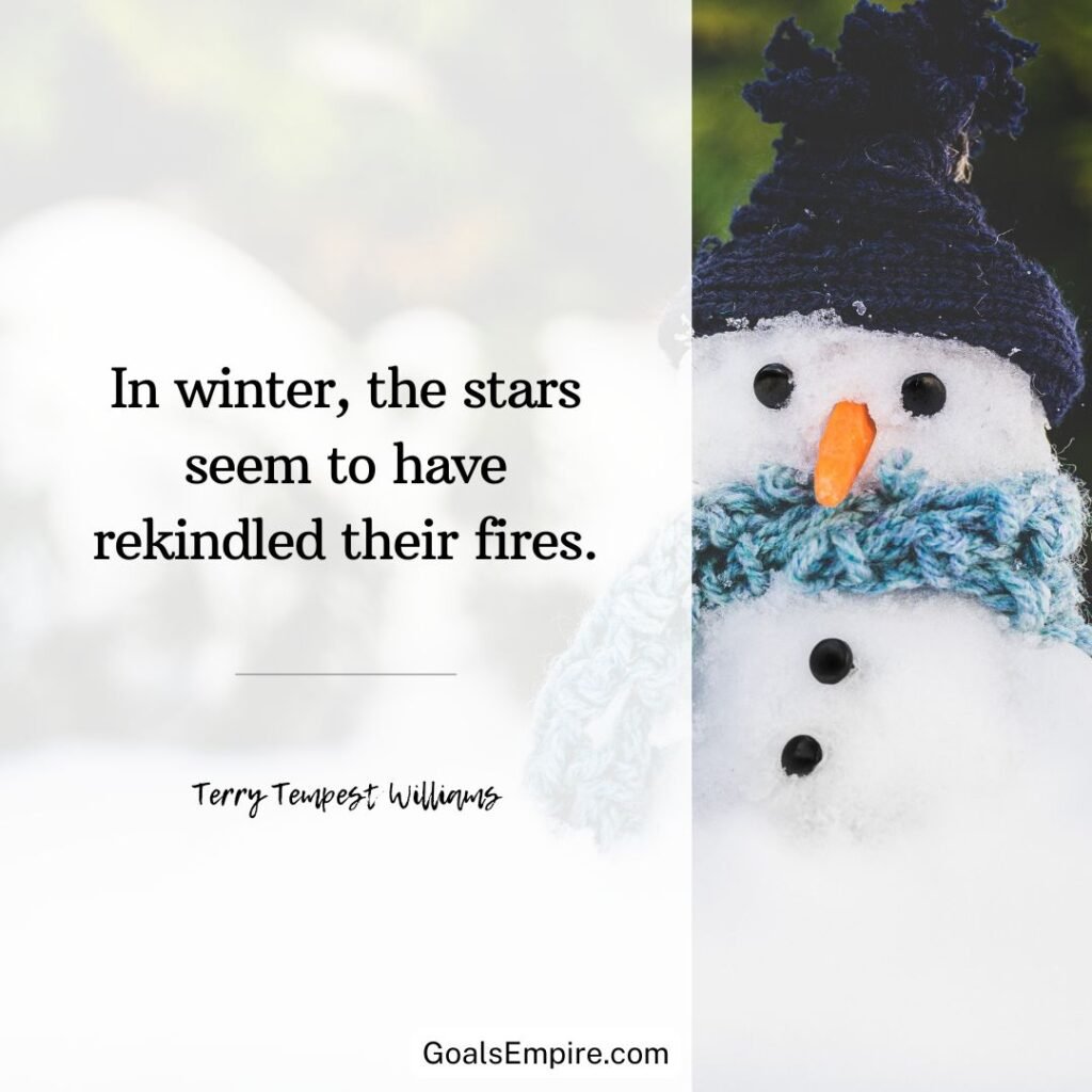 "In winter, the stars seem to have rekindled their fires." - Terry Tempest Williams